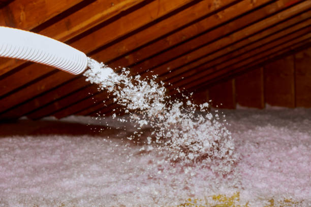 Best Attic Insulation Near Me  in North Merrick, NY