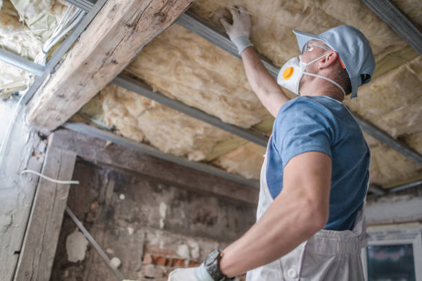 Best Local Insulation Services  in North Merrick, NY